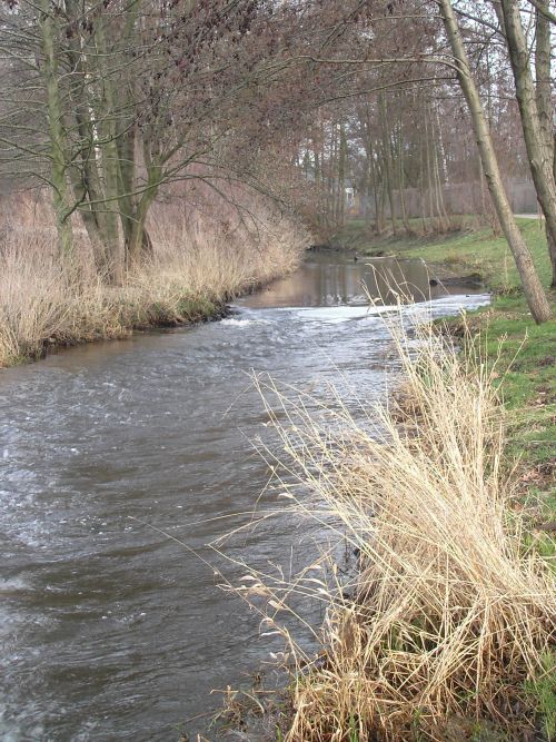 Beim Bogenschießplatz / Bibeldorf