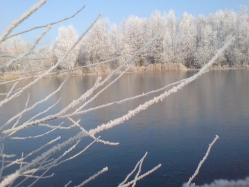 Teich Kammermann im Winter 2