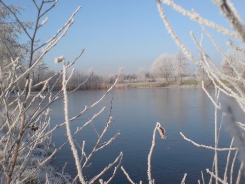 Teich Kammermann im Winter 3